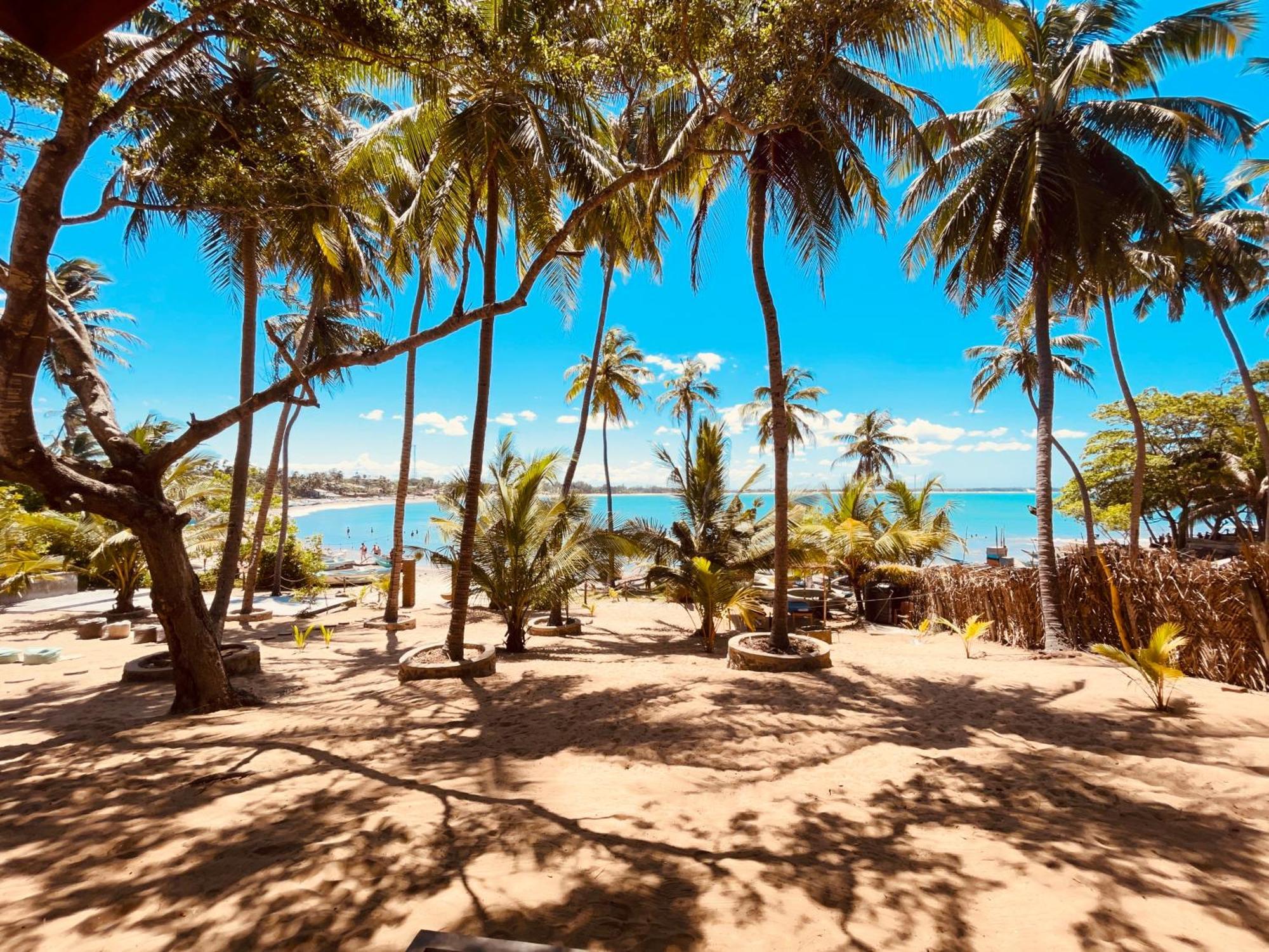 Хостел Coconut Hill Аругам-Бей Екстер'єр фото